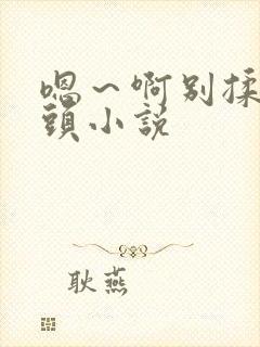 嗯～啊别揉我奶头小说