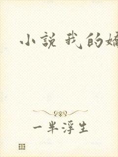 小说 我的娇妻