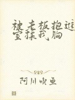 被老板抱进办公室揉我胸封面