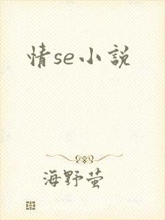 情se小说
