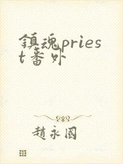 镇魂priest番外