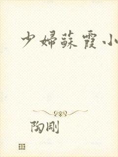 少妇苏霞小说封面