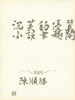 沉芙的优质攻略小说笔趣阁