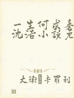 一生何求秦菲雪沈浩小说免费阅读全文