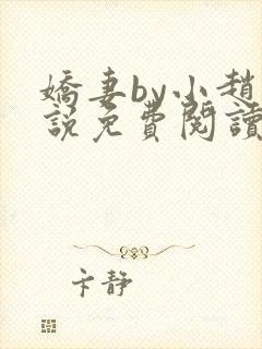 娇妻by小赵小说免费阅读封面