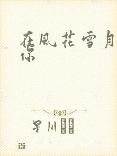 在风花雪月里等你封面