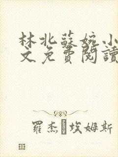 林北苏婉小说全文免费阅读最新