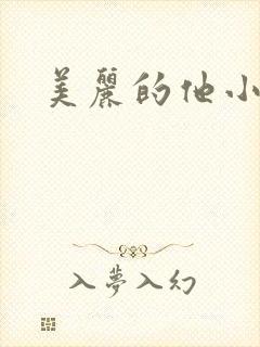 美丽的他小说