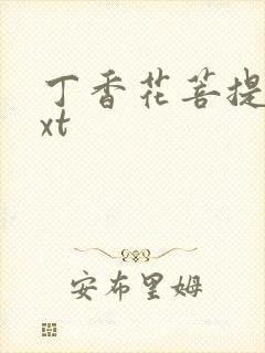 丁香花菩提树txt