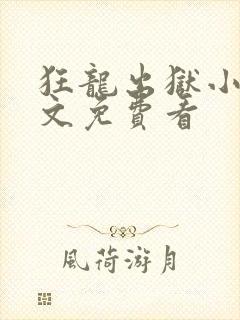 狂龙出狱小说全文免费看