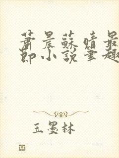 萧晨苏晴最新章节小说笔趣阁