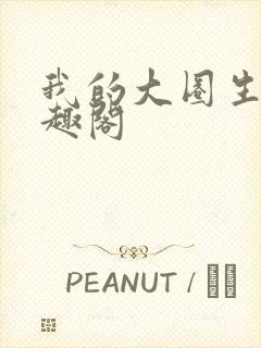 我的大圈生涯笔趣阁封面