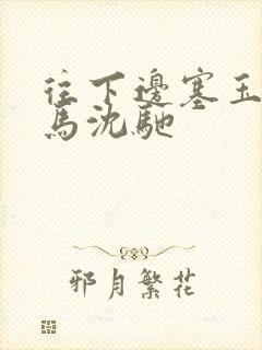 往下边塞玉器骑马沈驰封面