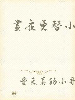 昼夜更替小说封面