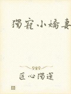 独宠小娇妻