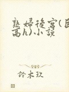 熟妇后宫(巨肉高h)小说封面