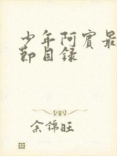 少年阿宾最新章节目录