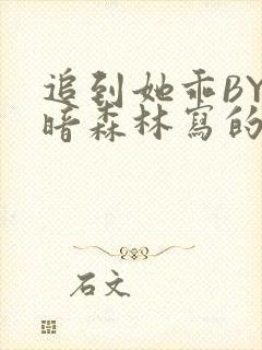 追到她乖BY黑暗森林写的小说