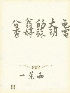 公翁的大龟挺进秀婷苏玥电影