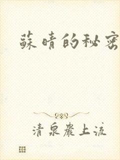苏晴的秘密小说