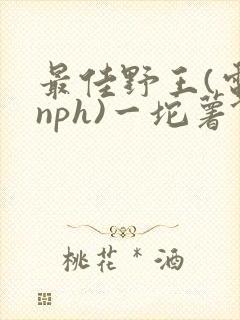 最佳野王(电竞nph)一坨薯饼
