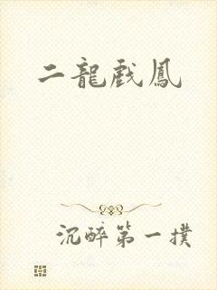 二龙戏凤