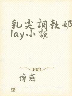 乳尖调教奶头play小说