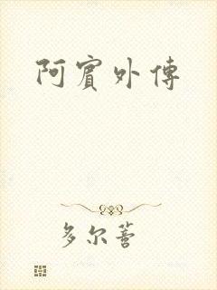 阿宾外传