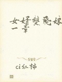 女婿双飞娘俩第一章