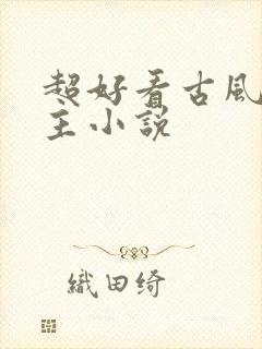 超好看古风双男主小说