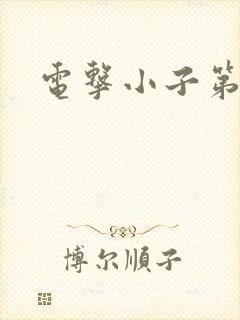 电击小子第二部