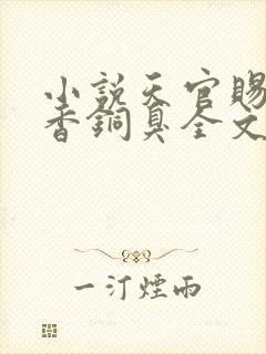 小说天官赐福墨香铜臭全文封面