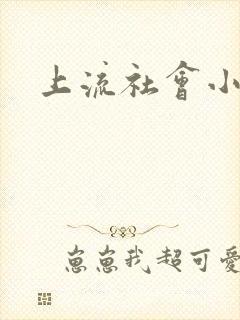 上流社会小说封面