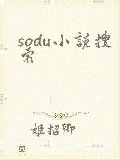 sodu小说搜索