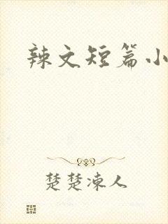 辣文短篇小说封面