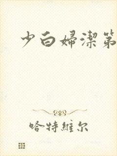 少白妇洁第二部
