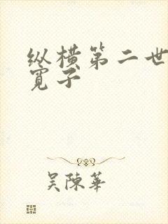 纵横第二世界 宽子