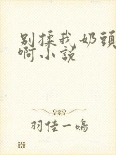 别揉我奶头嗯～啊小说