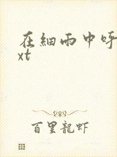 在细雨中呼喊txt