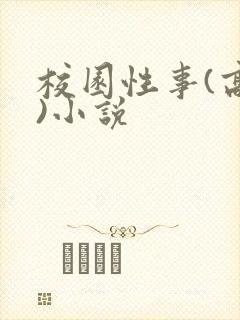 校园性事(高h)小说