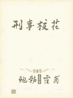刑事校花封面