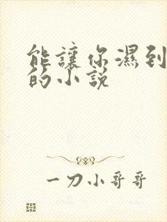 能让你湿到不行的小说