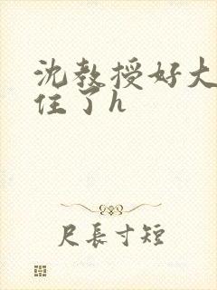 沈教授好大含不住了h