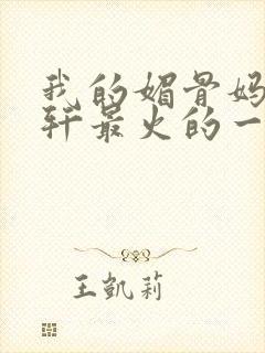 我的媚骨妈妈林轩最火的一句封面