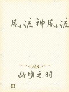 风流神风流记封面