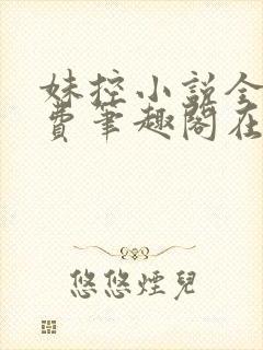 妹控小说全文免费笔趣阁在线阅读