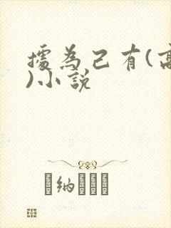 据为己有(高干)小说封面