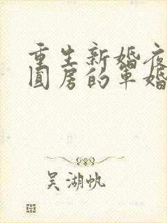 重生新婚夜正在圆房的军婚