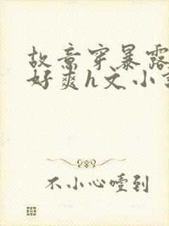 故意穿暴露被强好爽h文小说