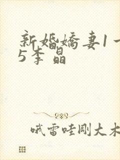 新婚娇妻1一25李晶